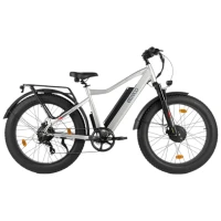 Электровелосипед Eltreco BigCat Dual Next PRO